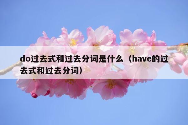 do过去式和过去分词是什么（have的过去式和过去分词） 第1张