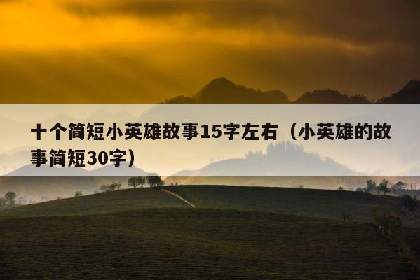 十个简短小英雄故事15字左右（小英雄的故事简短30字） 第1张