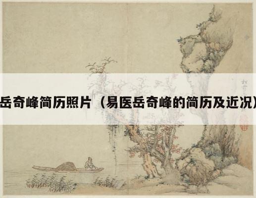 岳奇峰简历照片（易医岳奇峰的简历及近况） 第1张