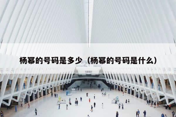 杨幂的号码是多少（杨幂的号码是什么） 第1张