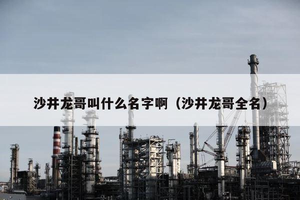 沙井龙哥叫什么名字啊（沙井龙哥全名） 第1张