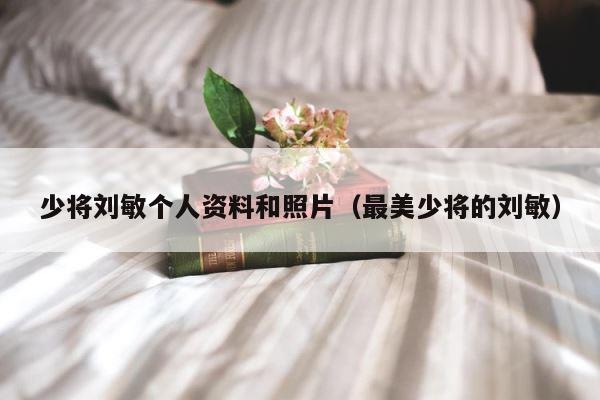 少将刘敏个人资料和照片（最美少将的刘敏） 第1张