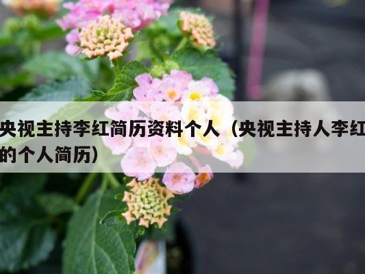 央视主持李红简历资料个人（央视主持人李红的个人简历） 第1张