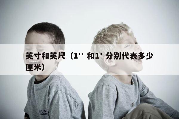 英寸和英尺（1'' 和1' 分别代表多少厘米） 第1张