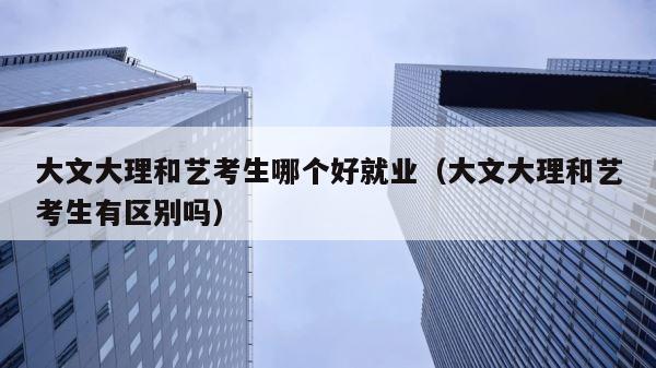 大文大理和艺考生哪个好就业（大文大理和艺考生有区别吗） 第1张