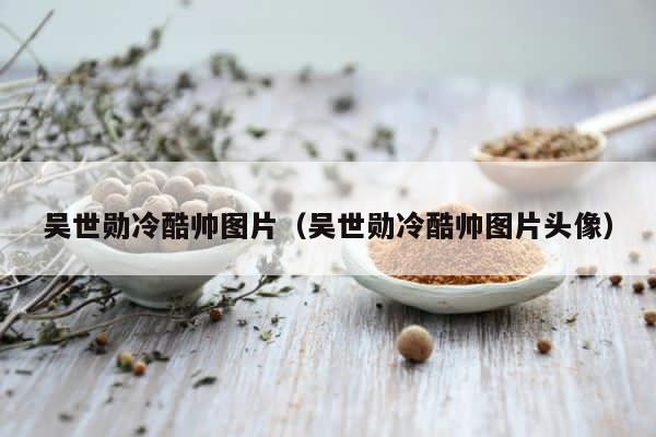吴世勋冷酷帅图片（吴世勋冷酷帅图片头像） 第1张