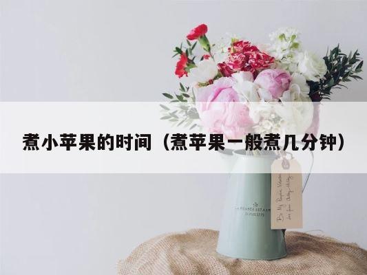 煮小苹果的时间（煮苹果一般煮几分钟） 第1张