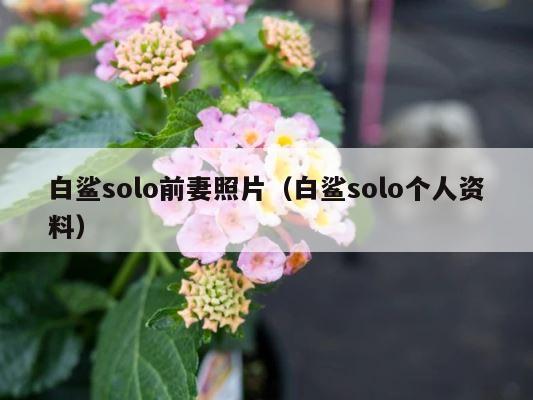 白鲨solo前妻照片（白鲨solo个人资料） 第1张