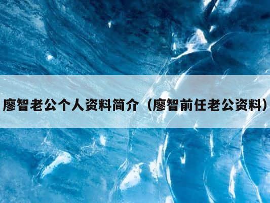 廖智老公个人资料简介（廖智前任老公资料） 第1张