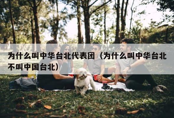 为什么叫中华台北代表团（为什么叫中华台北不叫中国台北） 第1张