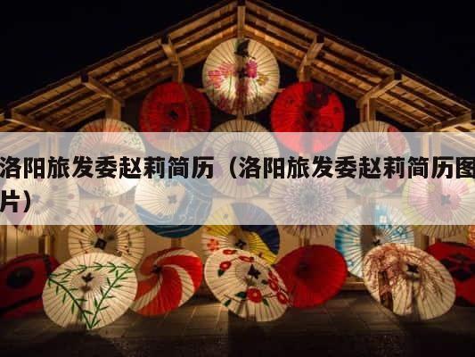 洛阳旅发委赵莉简历（洛阳旅发委赵莉简历图片） 第1张