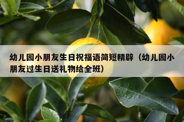 幼儿园小朋友生日祝福语简短精辟（幼儿园小朋友过生日送礼物给全班） 第1张