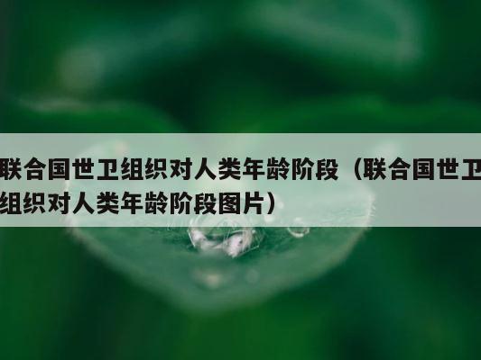 联合国世卫组织对人类年龄阶段（联合国世卫组织对人类年龄阶段图片） 第1张