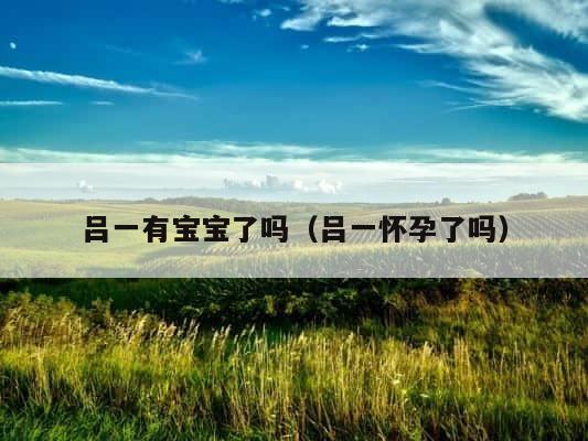 吕一有宝宝了吗（吕一怀孕了吗） 第1张