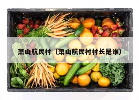萧山航民村（萧山航民村村长是谁） 第1张