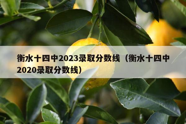 衡水十四中2023录取分数线（衡水十四中2020录取分数线） 第1张
