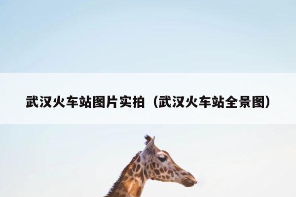 武汉火车站图片实拍（武汉火车站全景图） 第1张