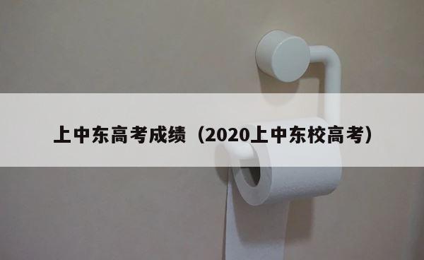 上中东高考成绩（2020上中东校高考） 第1张