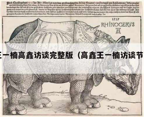 王一楠高鑫访谈完整版（高鑫王一楠访谈节目） 第1张