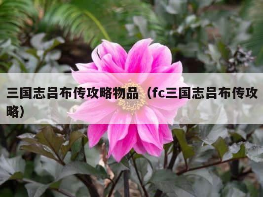 三国志吕布传攻略物品（fc三国志吕布传攻略） 第1张