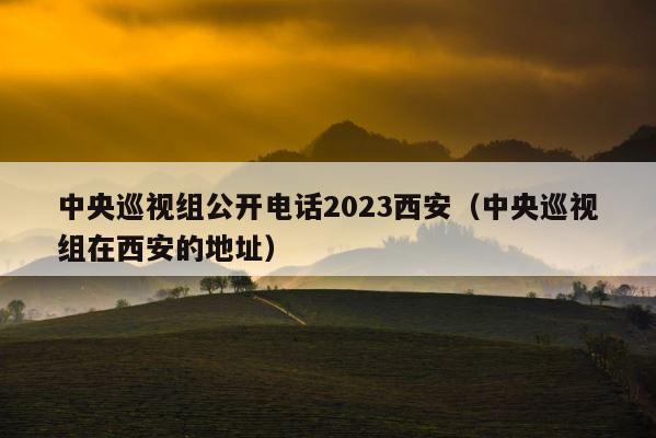 中央巡视组公开电话2023西安（中央巡视组在西安的地址） 第1张