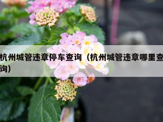 杭州城管违章停车查询（杭州城管违章哪里查询） 第1张