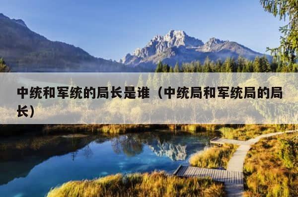 中统和军统的局长是谁（中统局和军统局的局长） 第1张