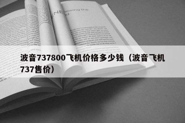 波音737800飞机价格多少钱（波音飞机737售价） 第1张
