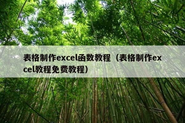 表格制作excel函数教程（表格制作excel教程免费教程） 第1张
