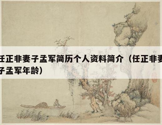 任正非妻子孟军简历个人资料简介（任正非妻子孟军年龄） 第1张