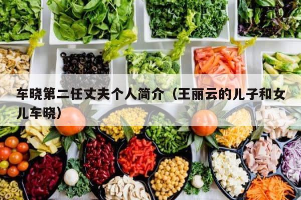 车晓第二任丈夫个人简介（王丽云的儿子和女儿车晓） 第1张