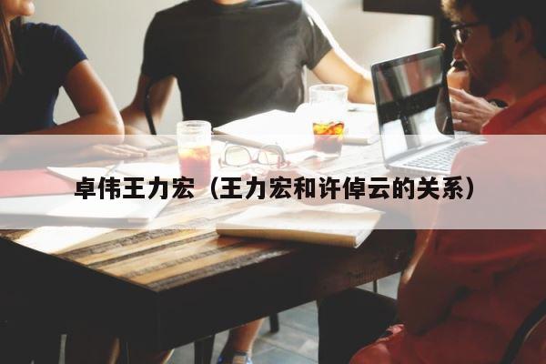 卓伟王力宏（王力宏和许倬云的关系） 第1张