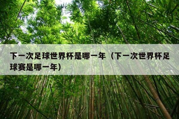 下一次足球世界杯是哪一年（下一次世界杯足球赛是哪一年） 第1张