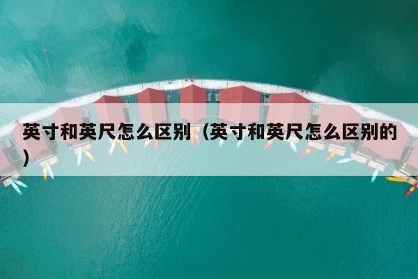 英寸和英尺怎么区别（英寸和英尺怎么区别的） 第1张