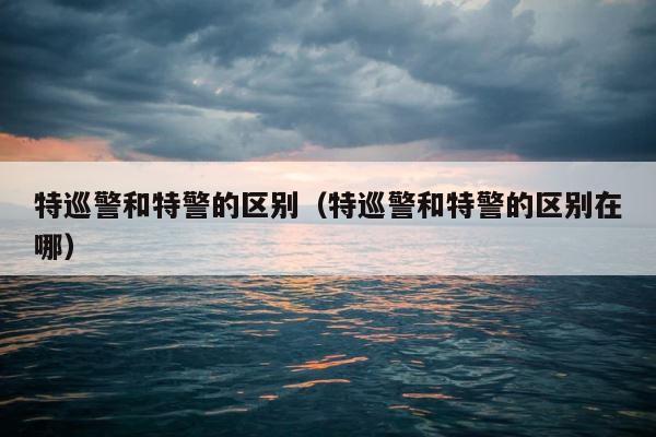 特巡警和特警的区别（特巡警和特警的区别在哪） 第1张