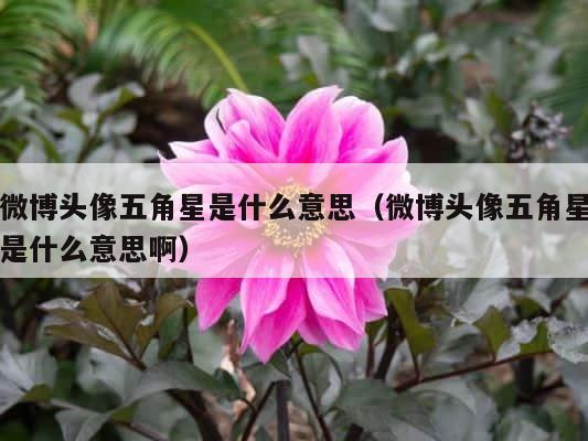 微博头像五角星是什么意思（微博头像五角星是什么意思啊） 第1张