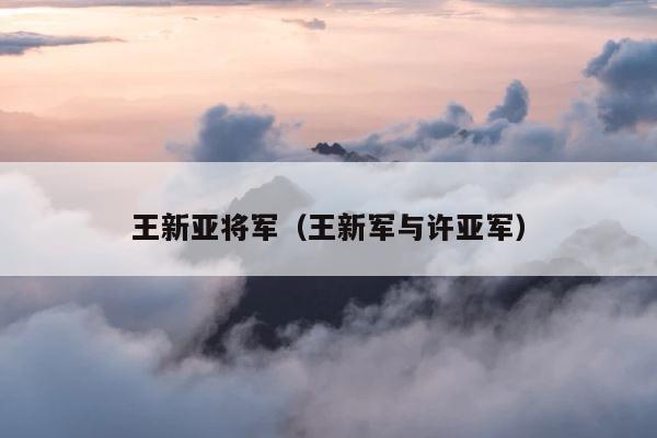 王新亚将军（王新军与许亚军） 第1张