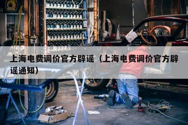 上海电费调价官方辟谣（上海电费调价官方辟谣通知） 第1张