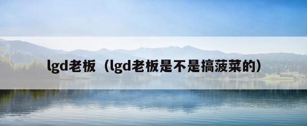 lgd老板（lgd老板是不是搞菠菜的） 第1张
