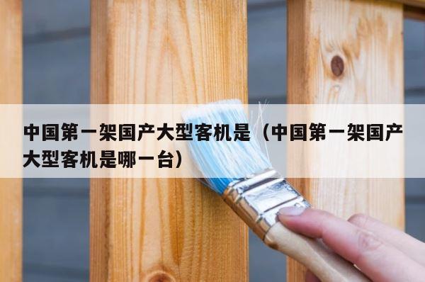 中国第一架国产大型客机是（中国第一架国产大型客机是哪一台） 第1张