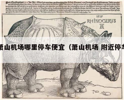 萧山机场哪里停车便宜（萧山机场 附近停车） 第1张