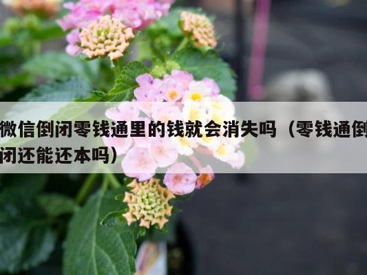 微信倒闭零钱通里的钱就会消失吗（零钱通倒闭还能还本吗） 第1张
