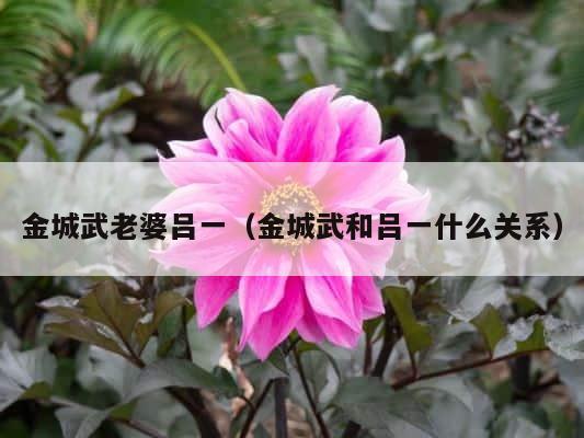 金城武老婆吕一（金城武和吕一什么关系） 第1张