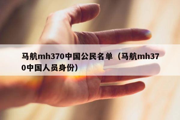 马航mh370中国公民名单（马航mh370中国人员身份） 第1张