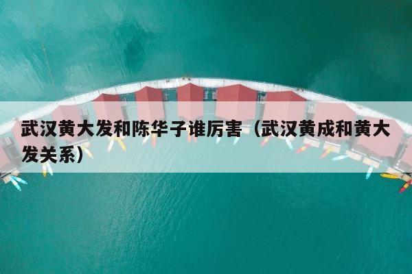 武汉黄大发和陈华子谁厉害（武汉黄成和黄大发关系） 第1张