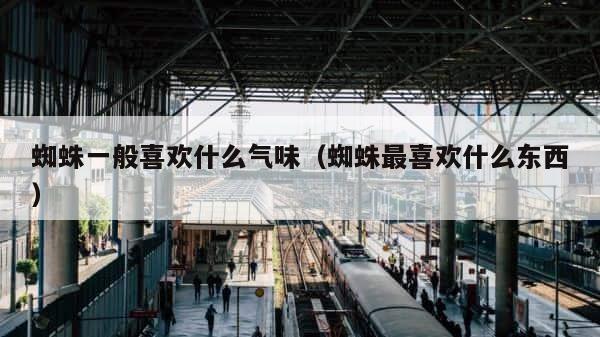 蜘蛛一般喜欢什么气味（蜘蛛最喜欢什么东西） 第1张