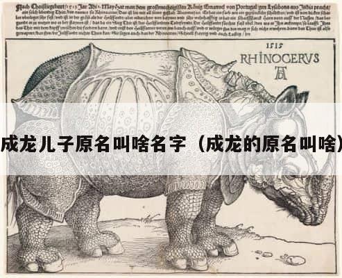 成龙儿子原名叫啥名字（成龙的原名叫啥） 第1张