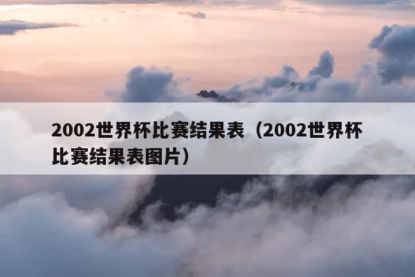 2002世界杯比赛结果表（2002世界杯比赛结果表图片） 第1张