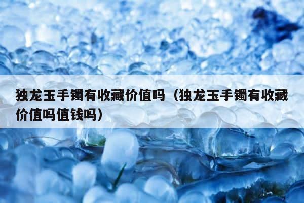 独龙玉手镯有收藏价值吗（独龙玉手镯有收藏价值吗值钱吗） 第1张