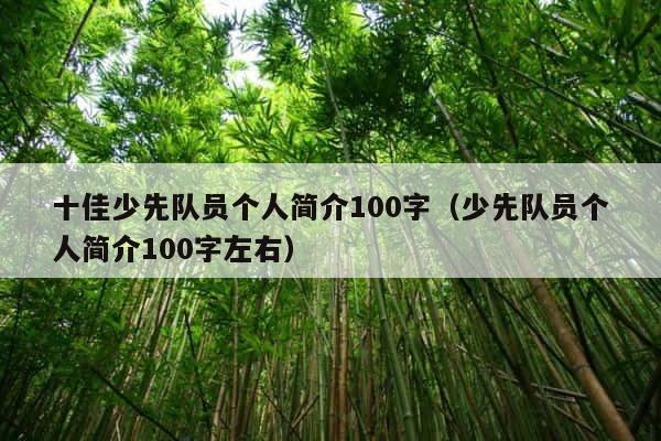 十佳少先队员个人简介100字（少先队员个人简介100字左右） 第1张